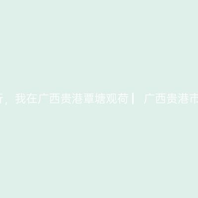 那一年，湘、黔、桂自驾万里行，我在广西贵港覃塘观荷 ▏广西贵港市自驾游实用攻略 ▏2021年6月
